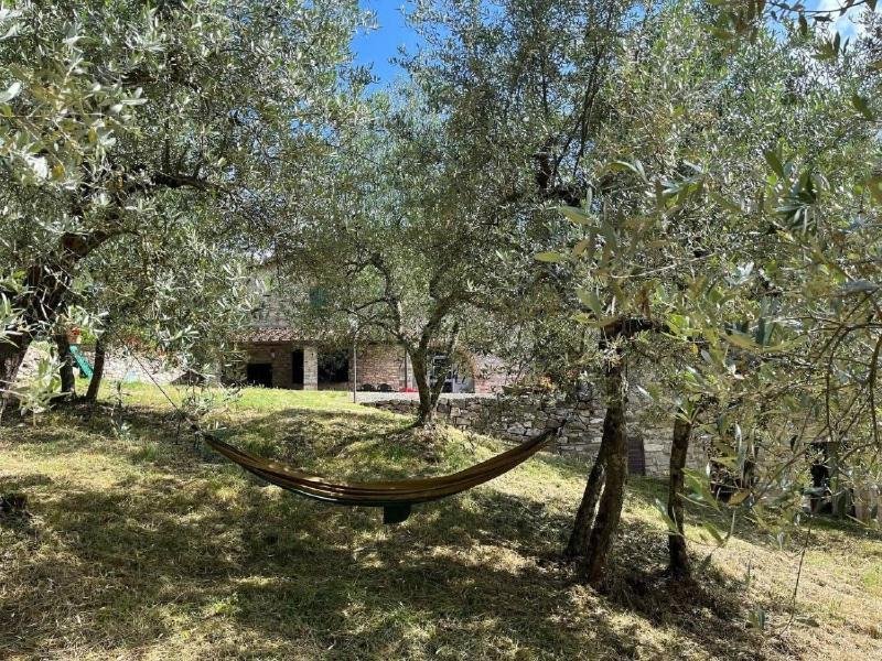 Hostal Il Cascino Greve in Chianti Exterior foto
